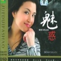 林琳 - 篱笆墙的影子