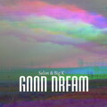 姚大大大大可、Salim - 做个好梦