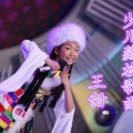 王甜 - 幸福格桑花