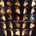 Laraaji - Being Here