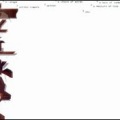 kit clayton - A Choice of Words