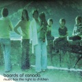 Boards Of Canada - Wildlife Analysis