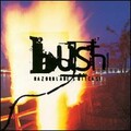 Bush - Greedy Fly