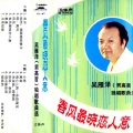 吴雁泽 - 琴声