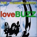 the hummingbirds - Blush