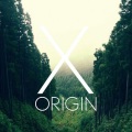 Origin