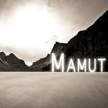 Jacoo - Mamut