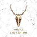 Burial (Skrillex & Trollphace Remix)