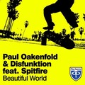 Paul Oakenfold、Spitfire、Disfunktion - Beautiful World