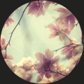 Koyö - Daydream