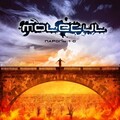 Molecul - Пароль 1-0