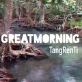 唐人踢 - GreatMorning