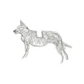 Basenji - Tribute To The Cat