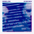 Adrian Sherwood、Pinch - Shadowrun