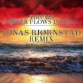 Bjornsta、Yiruma - River Flows In You (Bjornsta Remix)