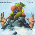 UNICORN - I've Loved Her So Long