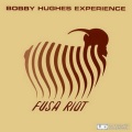Bobby Hughes Experience - The Piper Cherokee