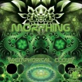 Metaphorical Cloud - Sphere