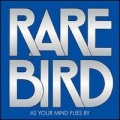 Rare Bird - What You Want To Know
