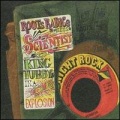 the roots radics - Scientist's Earth Dub