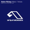 Adam Nickey - Voices (Original Mix)