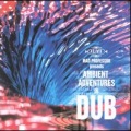 Ambient Adventures in Dub
