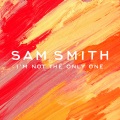 Sam Smith - I'm Not the Only One (Armand Van Helden Remix)