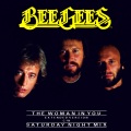 Bee Gees - Saturday Night Mix