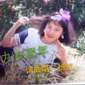 杨红 - 十九岁那年