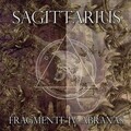Sagittarius - Cat Steps