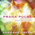 Shamans Dream - Calling Spirits