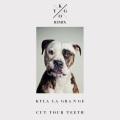 Kygo、Kyla La Grange - Cut Your Teeth (Kygo Remix)