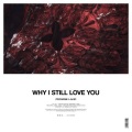 Promise Land - Why I Still Love You (Original Mix)