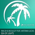 Sea Of Lights (Original Mix)