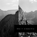 Bliss - Searching