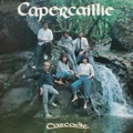 Capercaille - The Ale Is Deer (Reels)