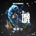 Fat Trel、LV、Bizarrel - Party Life