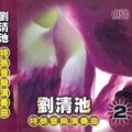 刘清池 - 中国の夜