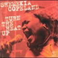 shemekia copeland - Turn up the Heat