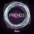 Steerner - Friends