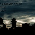 DJ Doggy - Deep Grooves Vol.12 Mixed By Dj Doggy