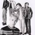 SIAM SHADE - 1/3の純情な感情 (1/3 Pure Heart Emotion)