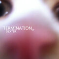 Dexter King - Termination
