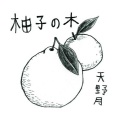 天野月 - 柚子の木