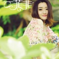 云菲菲 - 美丽的相遇