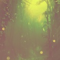 My Ambient World
