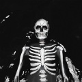 The Maine - Take What You Can Carry