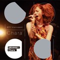 Chara - 蝶々結び