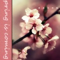Spring is coming