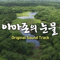 沈贤政 - In The Jungle